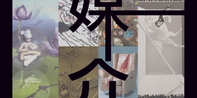 媒介DM-1