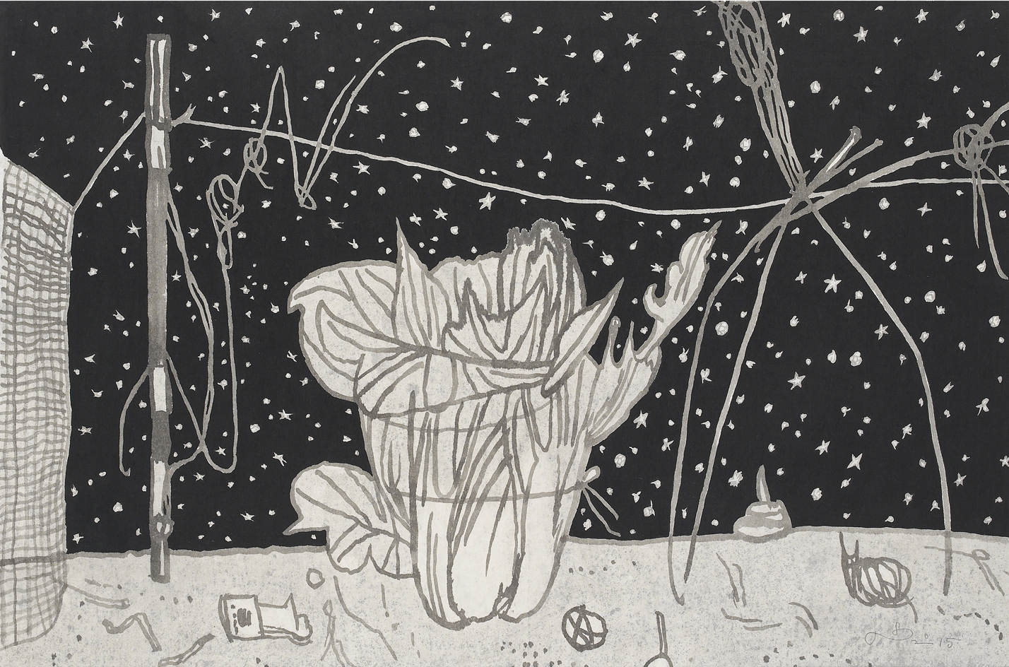 To show the star - Winter cabbage, 2015, Ink on rice paper, 66x97cm