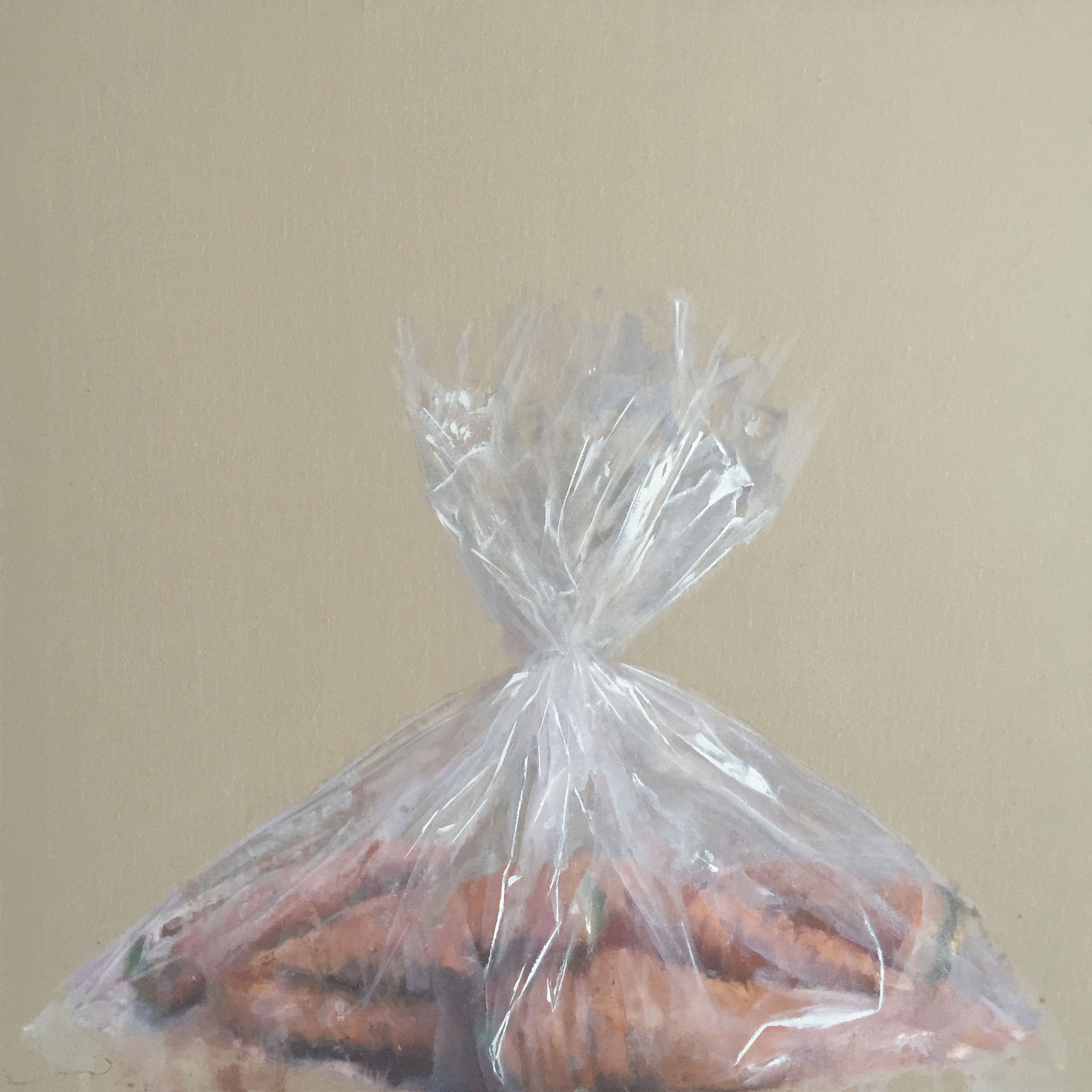 鲁丹《一袋胡萝卜》50cm X 50cm 布面油画 2016